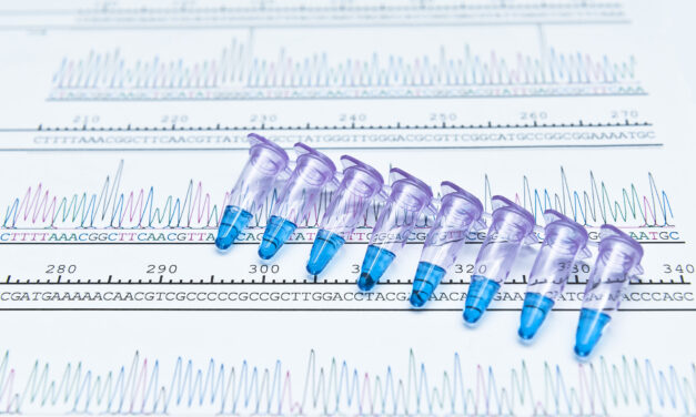 WHO relativiert PCR-Test-Ergebnisse