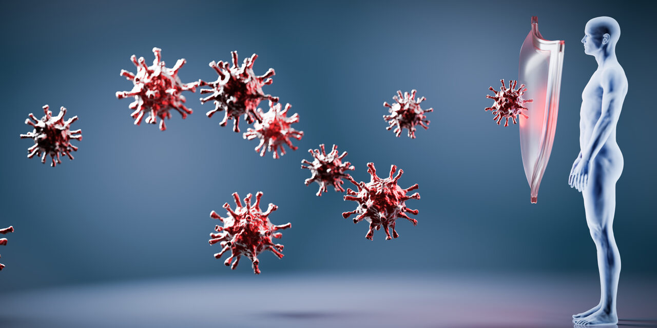 Überblick über Studien zu natürlicher Immunität und T-Zellen als wesentlichen Faktor