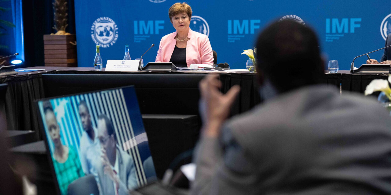 IWF-Chefin will weltweite Kohlenstoff-Steuern