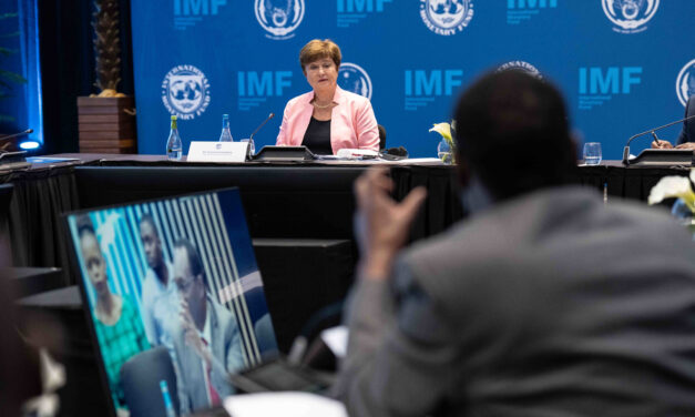IWF-Chefin will weltweite Kohlenstoff-Steuern